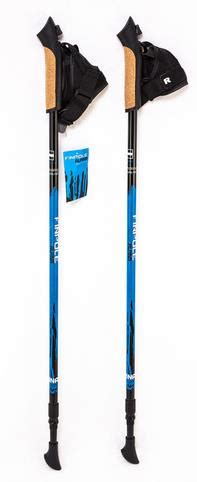 Палки для финской ходьбы Vinson Finpole Alpina 60% Carbon - купить в ...