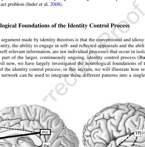 4 Brain Regions Comprising The Default Mode Network The Thick Solid Download Scientific