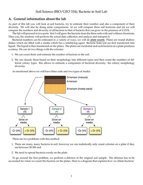 Bacteria in Soil Laboratory - Soil Science | GEO 334 - Docsity