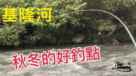 Creek Fishing In Taiwan 浮標能釣這種超急瀨控竿控線會了大魚就到手 Youtube