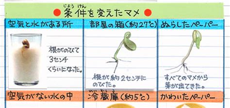 まとめ方のコツ｜自由研究プロジェクト｜学研キッズネット