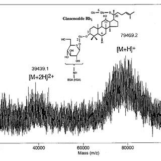 Direct Determination Of Ginsenoside Rb 1 BSA GRb 1 BSA Conjugate By