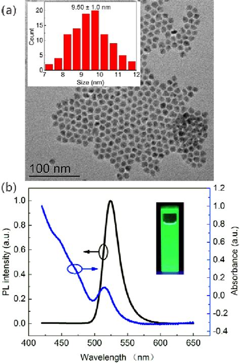 A Tem Image Of The Cdsezns Quantum Dots B Uv Visible Absorption