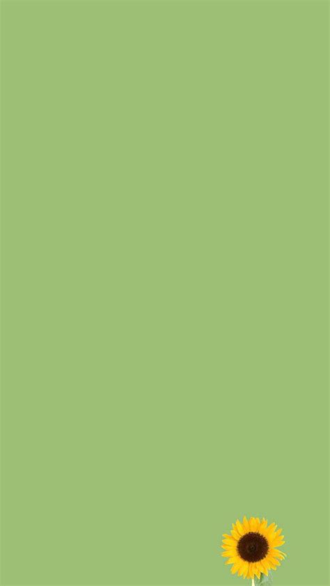 H5 Sunflower Green Background Factors | Iphone wallpaper green, Mint ...