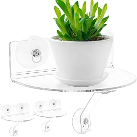 Amazon Pack Suction Cup Shelf For Plants Window With Load