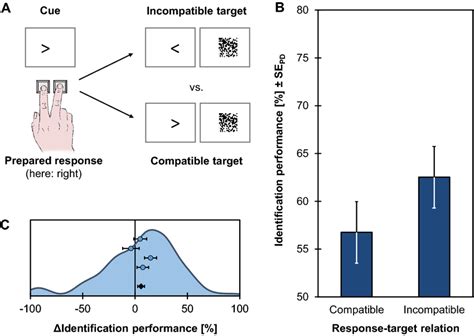 Design and results of the action-induced blindness experiment (Exp. 2 ...