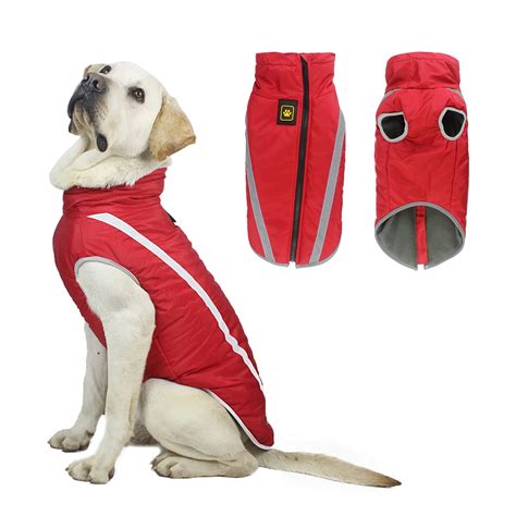 What Dogs Need Coats at Bessie Luce blog