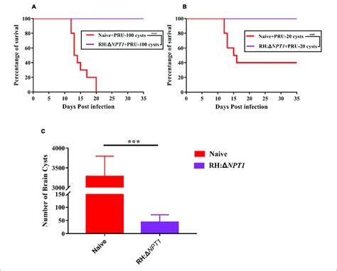 Rh Npt Vaccination Promotes Survival And Reduced Cysts Loads In The