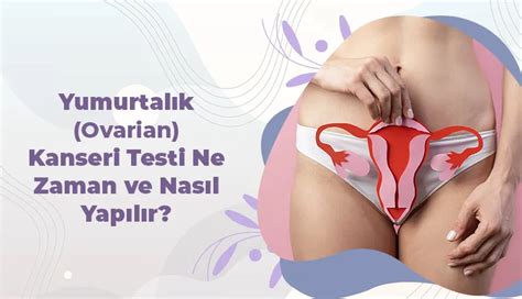 Ekol Kadın Doğum Yumurtalık Ovarian Kanseri Testi Ne Zaman ve Nasıl