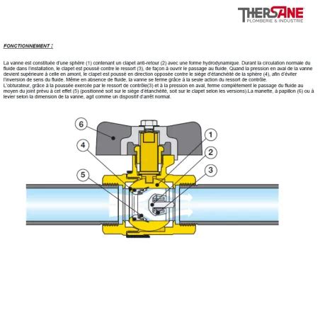 Vanne à sphère avec clapet intégré Ballstop Diamètre en pouce 1 2