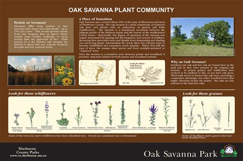 Custom Interpretive Signs Nature Walk Signs