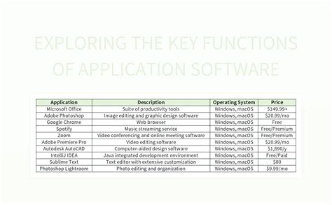 Exploring The Key Functions Of Application Software Excel Template And