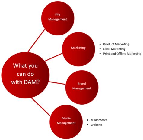 Digital Asset Management Dam An Ultimate Buyers Guide 2023