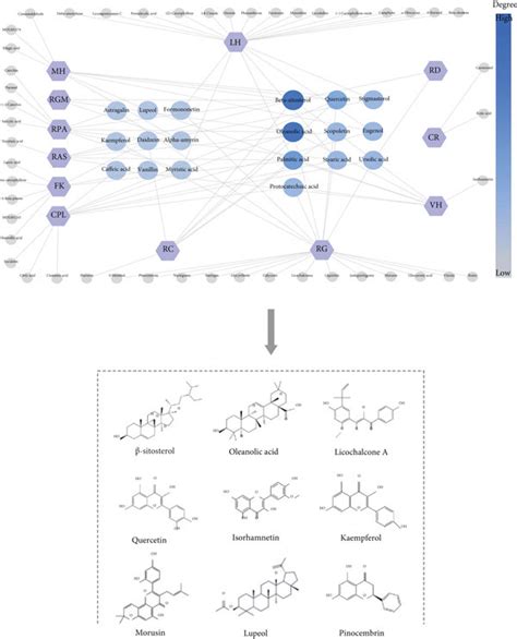 Network Pharmacology Analysis Of The Shm Formula A Distribution Of Download Scientific