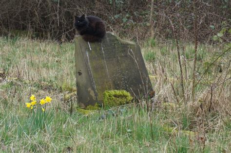 Sculcoates North Cemetery Ian S Cc By Sa Geograph Britain And