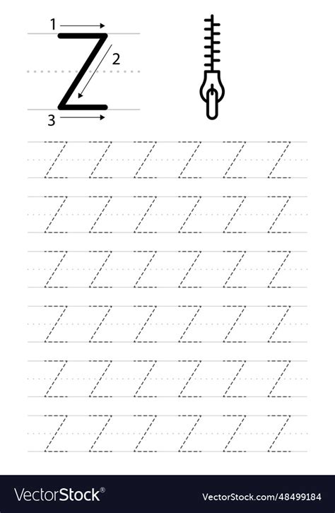 Printable Letter Z Alphabet Tracing Worksheet Vector Image