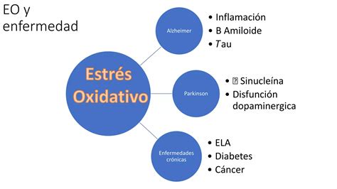 Moleculas Mechanisms Behind Scavengers Pptx