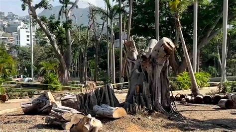 Reabren Parcialmente Parque Papagayo en Acapulco tras Devastación por