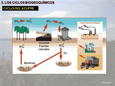 Dibujo Del Ciclo Azufre