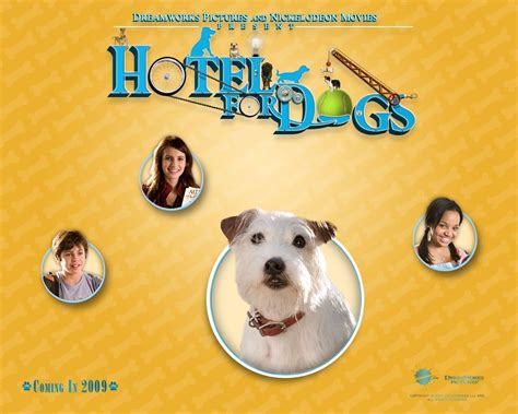 Hotel For Dogs Movie Wallpapers Wallpaper Cave