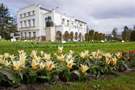 Record De Vizitatori La Gr Dina Botanic Din Cluj N