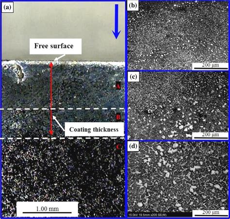 A Optical Micrograph Of Transverse Cross Section Of The Coating And