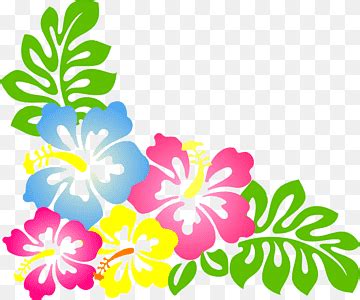 Hawaiian Luau Clip Art Border Clipart Free To Use Clip Hibiscus