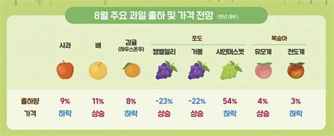 올해 사과 배 등 주요과일 생산량 늘어날 듯