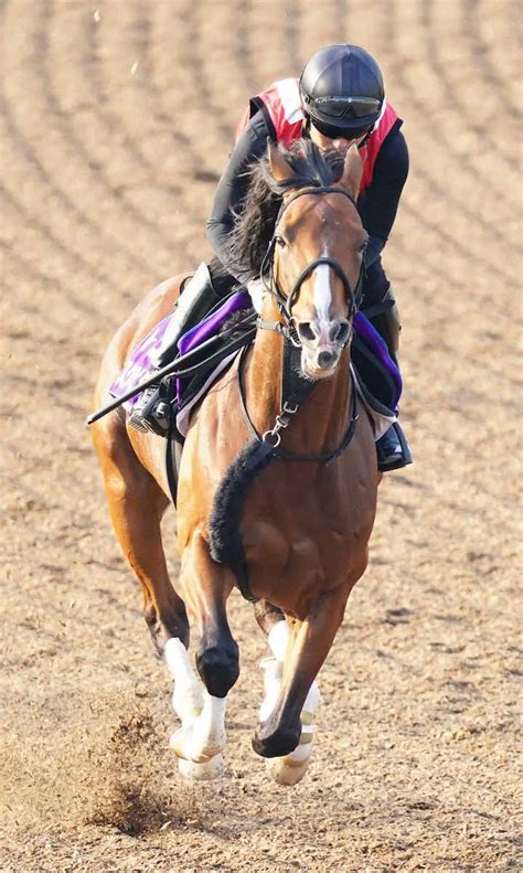 【宝塚記念2週前追い】アスクビクターモア 弾む脚さばき、田村師「きっちりと仕上げていきたい」 スポニチ競馬web