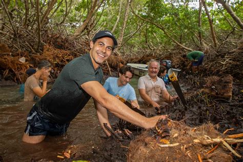 Dutch Caribbean Biodiversity Database