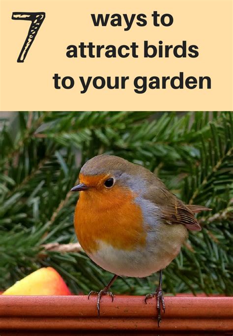 A Green And Rosie Life Weekly Green Tips 26 7 Ways To Attract Birds