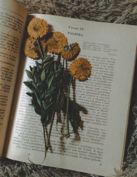 book•flowers•parting | Pressed flowers, Brown aesthetic, Animal illustration art