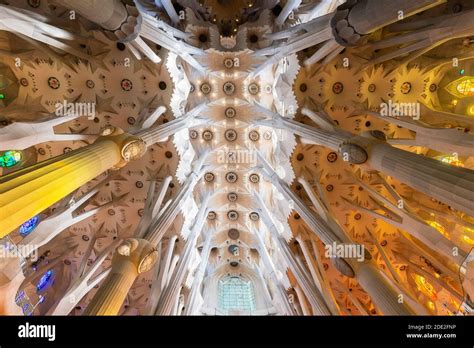 El Interior De La Sagrada Familia La Catedral Dise Ada Por Gaud En