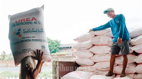 Pupuk Indonesia Siap Distribusikan 714 092 Ton Urea Dan NPK Foto 1