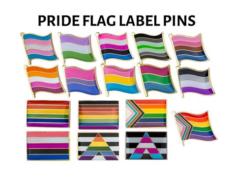 Pride Flag Lapel Pins Straight Ally Pin Transgender Ally Pin Gay Pin Bisexual Pride Flag Pin