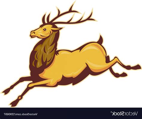 Stag Head Vector At Collection Of Stag Head Vector Free For Personal Use