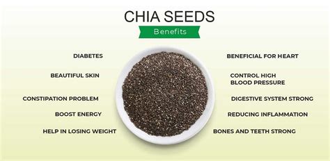 Chia Seed Benefits And Side Effects Medium