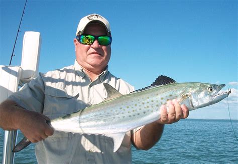 Spanish Mackerel | Reel Florida Fishing Charters