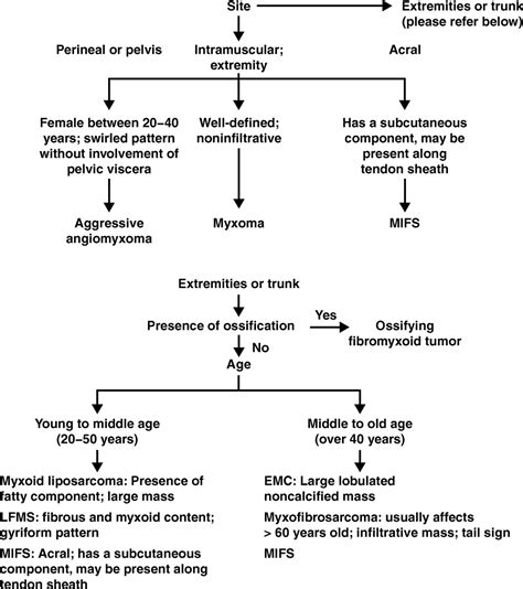 Myxoid Soft Tissue Neoplasms Comprehensive Update Of The Taxonomy And