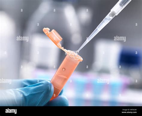 Eppendorf Tube Hi Res Stock Photography And Images Alamy