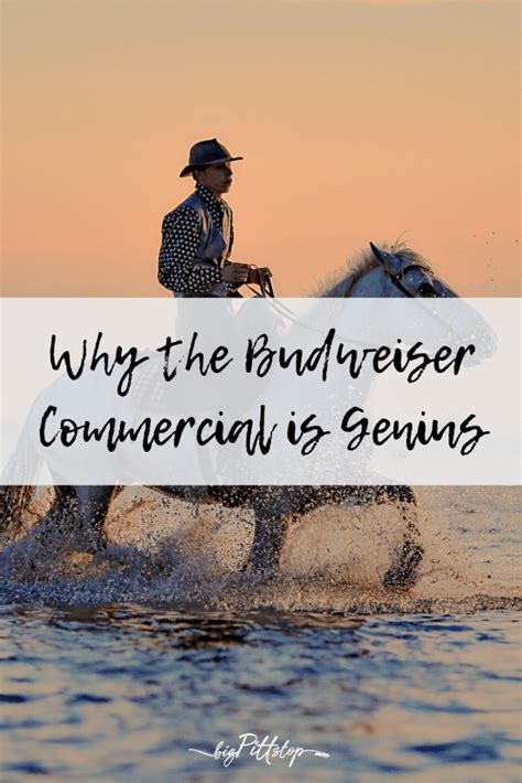 Why the Budweiser commercial is genius - BIGPITTSTOP