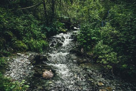 Pintoresco Paisaje Verde Con Claro Arroyo De Monta A Entre Exuberante