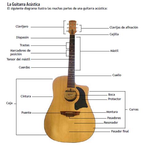 Partes De La Guitarra En Espa Ol Y Portugu S