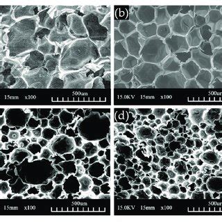 Sem Images Of Polyurethane Foam Samples Prepared With Reaction Times Of