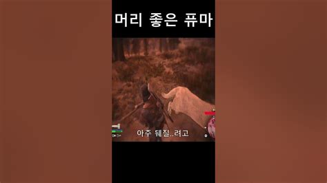 데이즈곤 머리 좋은 퓨마 만났을때 드래곤즈 Youtube