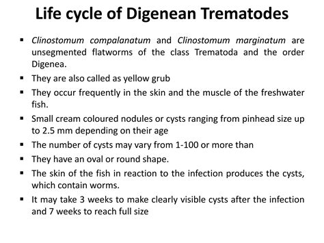 Life Cycle Of Protozoan Parasite Ppt