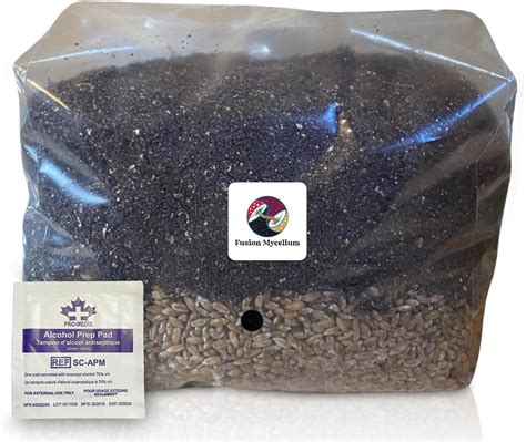 Fusion Mycelium Large All In One Mushroom Grow Bag With Injection Port