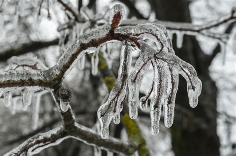 Freezing Rain Warning In Effect For The Region Cambridgetodayca