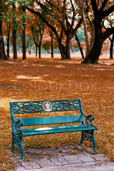 Bench In The Park Stock Image Colourbox