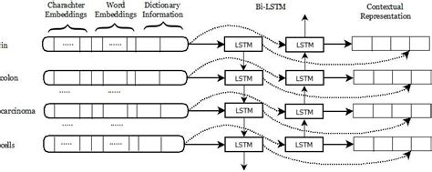 14 The Contextual Representation Learning Model Download Scientific Diagram